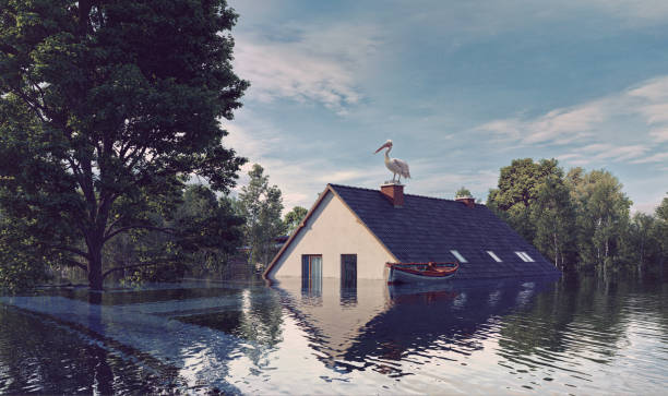 private flood insurance florida