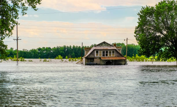 best flood insurance companies in Florida